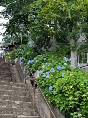 池上本門寺(東京都)
