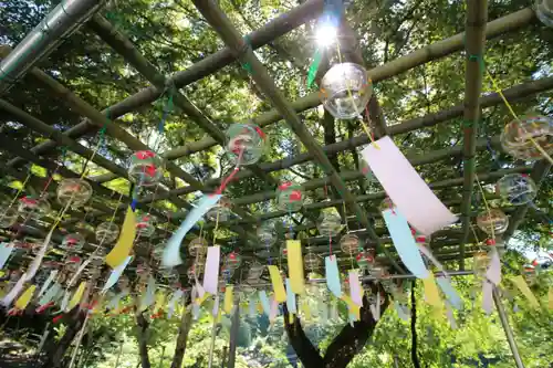 金櫻神社(山梨県)