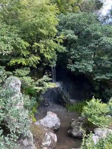 鹿苑寺（金閣寺）(京都府)