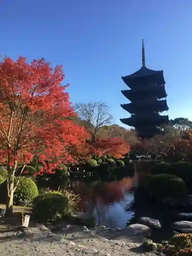 東寺（教王護国寺）の庭園