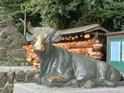 谷保天満宮(東京都)