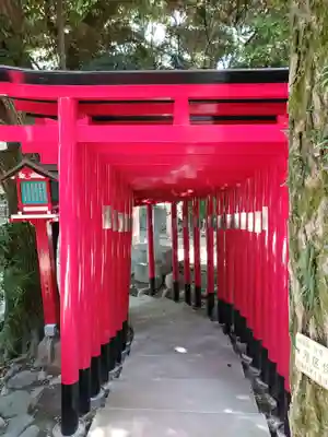 乃木神社の鳥居