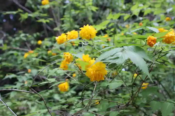東福禅寺(東福寺)(京都府)