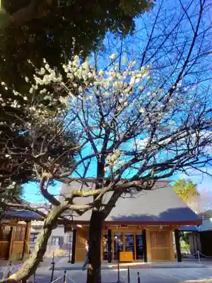 新井天神北野神社(東京都)