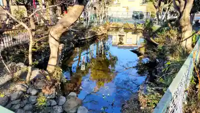 玉泉寺(東京都)