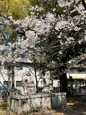 川口神社(埼玉県)