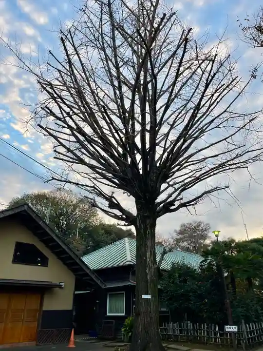 最勝寺教学院(東京都)