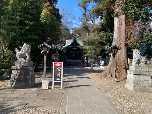 岩槻久伊豆神社(埼玉県)
