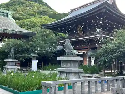 宮地嶽神社(福岡県)