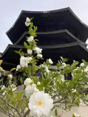 斑鳩寺の建物その他