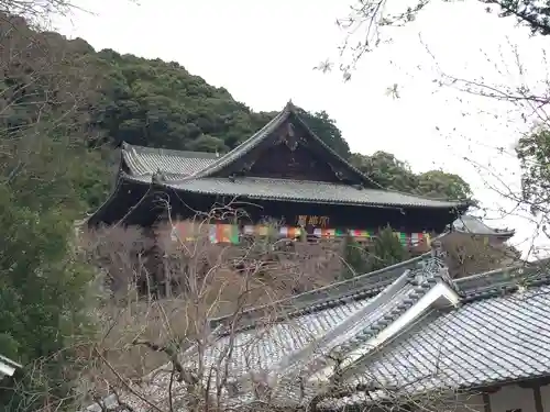 長谷寺の本殿