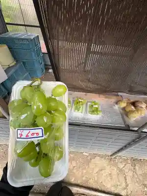 稲荷大明神(徳島県)