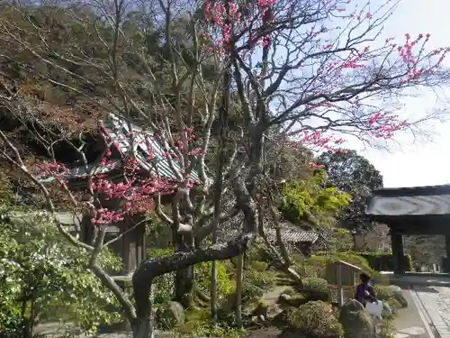 海蔵寺の庭園