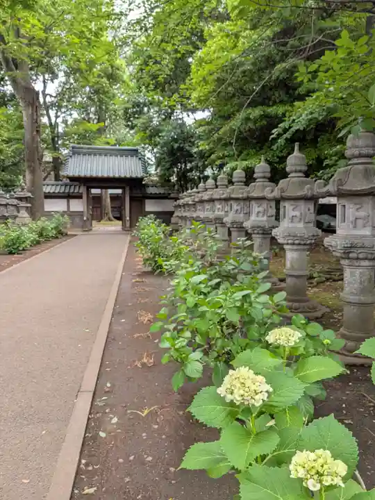 妙法寺(東京都)