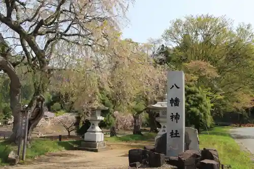 白幡八幡神社の景色