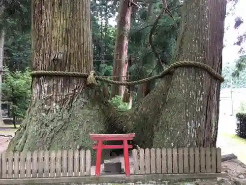 室生龍穴神社の自然