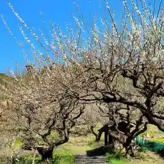 長楽寺の自然