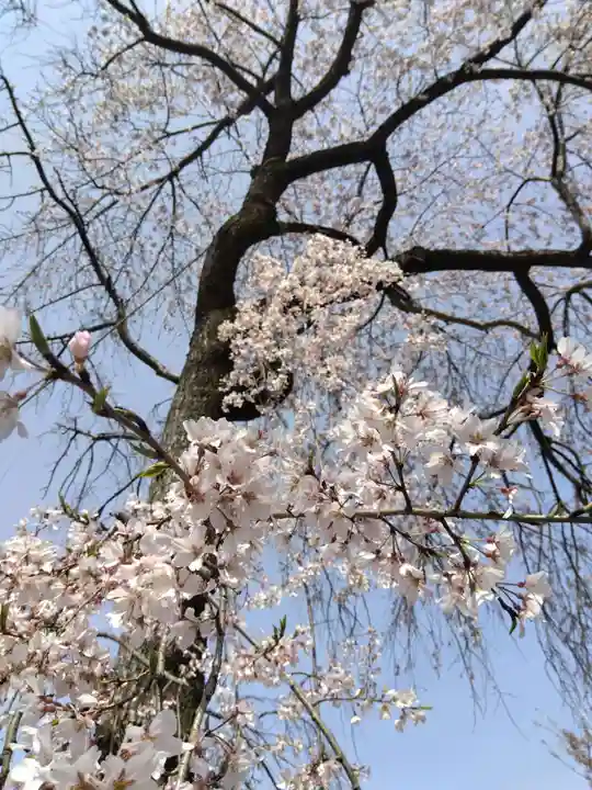 満願寺(京都府)
