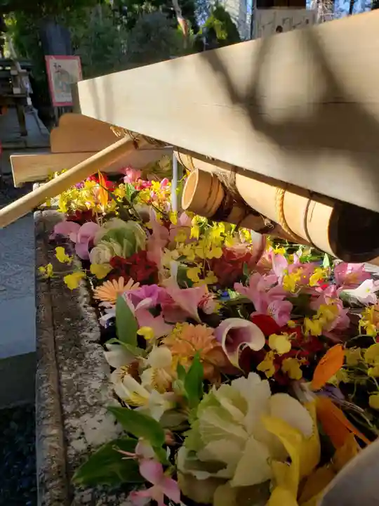 鳩森八幡神社の手水舎