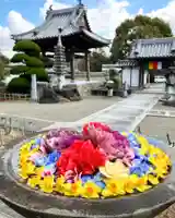 真言宗 善通寺派 薬王寺(香川県)