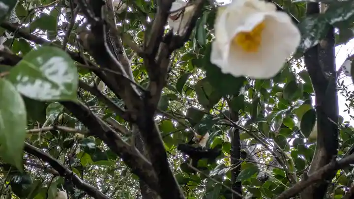 城南宮(京都府)