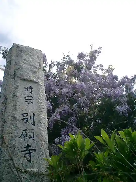 別願寺のその他建物