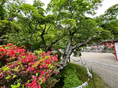 大原野神社(京都府)