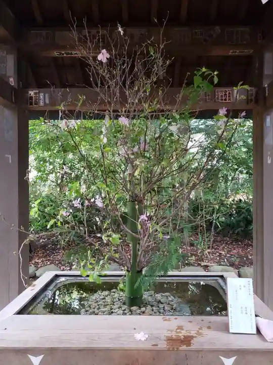 赤坂氷川神社(東京都)