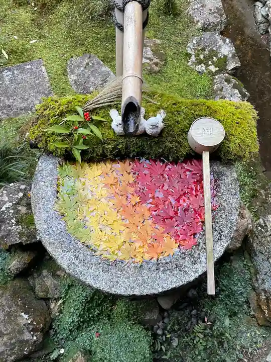 柳谷観音 楊谷寺(京都府)