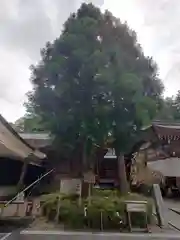 白山比咩神社(石川県)