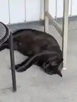 薦神社(大分県)