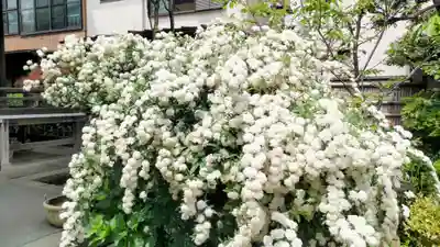 収玄寺(神奈川県)