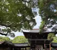 明治神宮(東京都)