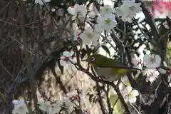 菅原天満宮（菅原神社）(奈良県)