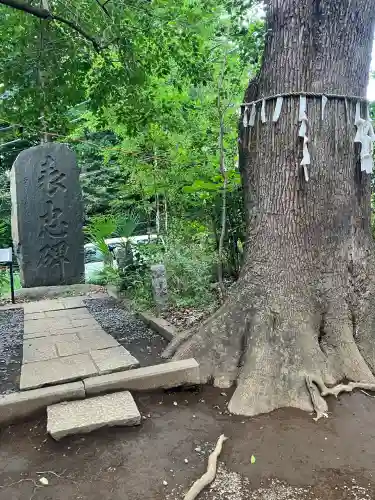 代々木八幡宮(東京都)
