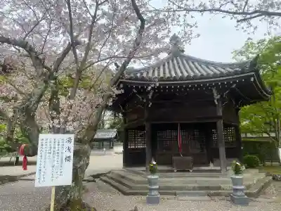 粉河寺の{uncategorized: "未分類", other: "その他", undefined: "問題あり", building: "その他建物", grave: "お墓", sacred_gate: "鳥居", guardian: "狛犬", statue: "像", buddha: "仏像", history: "歴史", nature: "自然", garden: "庭園", animal: "動物", pagoda: "塔", temizu: "手水舎", mountain_gate: "山門・神門", sanctuary: "本殿・本堂", subordinate: "末社・摂社", art: "芸術", scenery: "景色", jizo: "地蔵", ema: "絵馬", goshuin: "御朱印", omikuji: "おみくじ", items: "授与品その他", amulet: "お守り", goshuincho: "御朱印帳", eats: "食事", festival: "お祭り", votive_dance: "神楽", shichigosan: "七五三参", wedding: "結婚式", experience: "体験その他", initially: "初詣", around: "周辺", anti_infection: "感染症対策"}