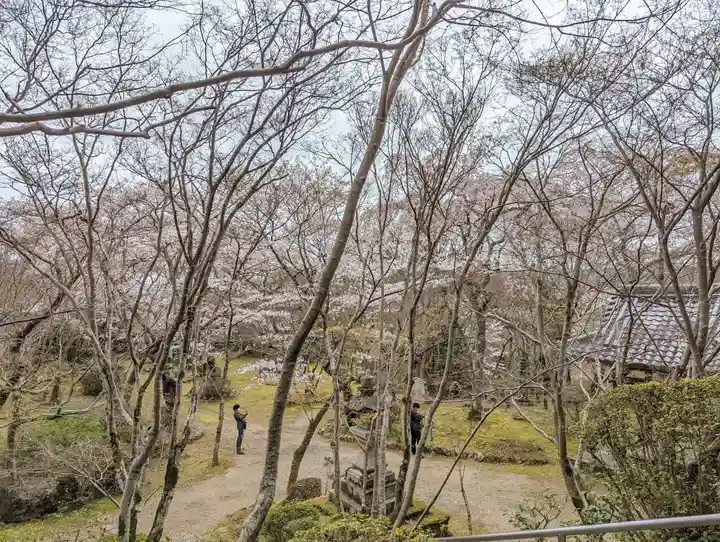 勝持寺(花の寺)(京都府)