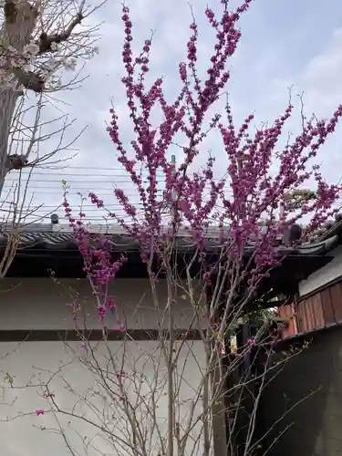 本覚寺(神奈川県)