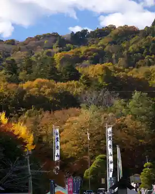 宝登山神社(埼玉県)