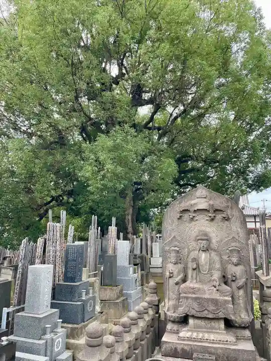 妙雲寺(東京都)