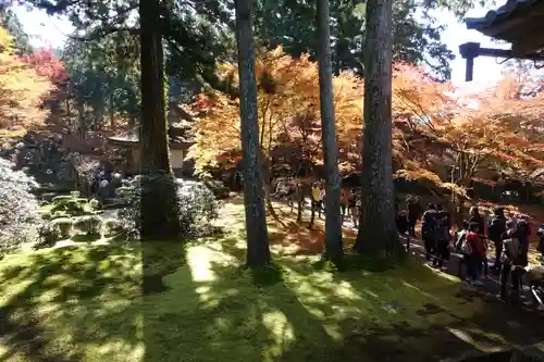 三千院門跡の庭園