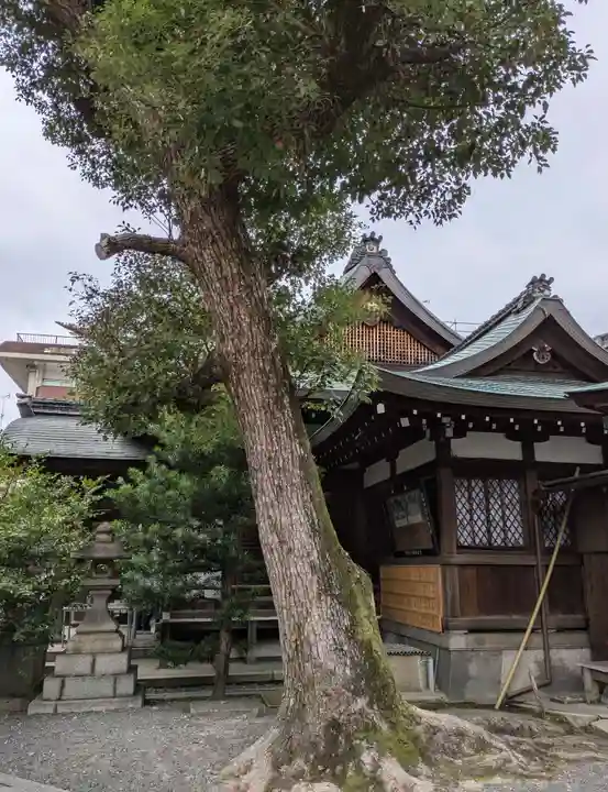 熊野神社(京都府)