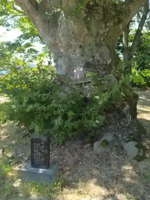 熊野神社(福島県)