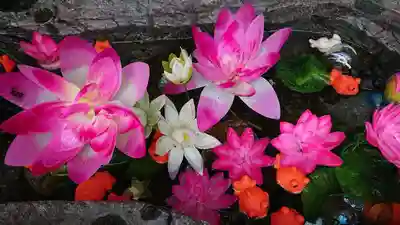 三輪神社の手水舎