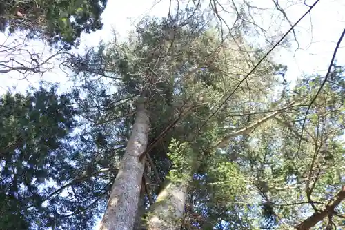 紀伊宮神社の自然
