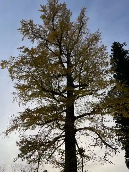 秋保神社(宮城県)
