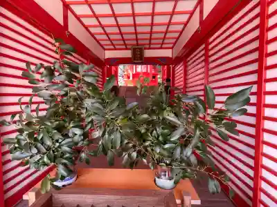 八幡神社(室生小原)(奈良県)