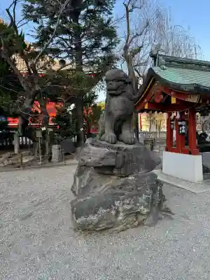 浅草神社の狛犬
