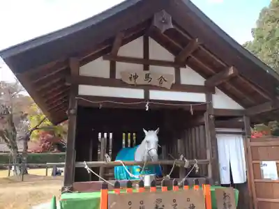 賀茂別雷神社（上賀茂神社）(京都府)