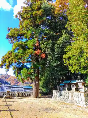 栗栖神社の自然